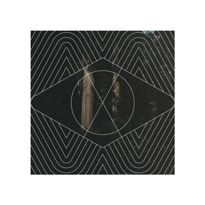 BERG, NILS - COMING AND GOING - LP