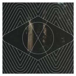 BERG, NILS - COMING AND GOING - LP