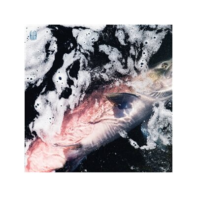 KENNEY, JESSIKA & KANG, EYVIND - AZURE - LP