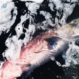 KENNEY, JESSIKA & KANG, EYVIND - AZURE - CD