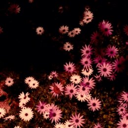 RAT COLUMNS - BABYDOLL (LTD CREAM VINYL) - LP