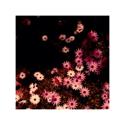 RAT COLUMNS - BABYDOLL (LTD BLACK LP + BONUS 7") - LP