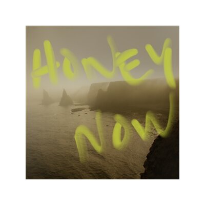 NEON WALTZ - HONEY NOW - CD