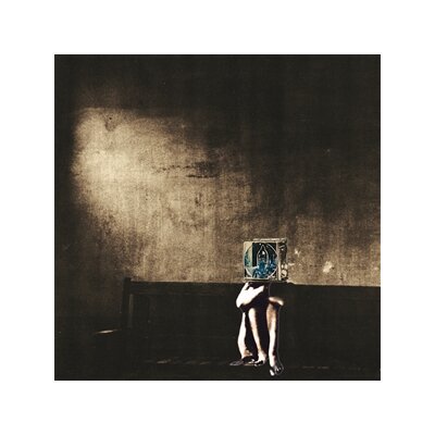 POLYPHONIC SPREE, THE - SALVAGE ENTERPRISE - CD