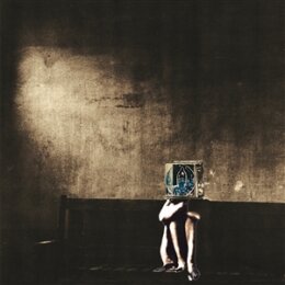 POLYPHONIC SPREE, THE - SALVAGE ENTERPRISE - CD