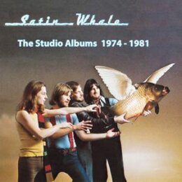 SATIN WHALE - HISTORY BOX 1 - THE STUDIO ALBUMS (5...