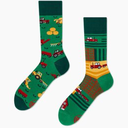 Many Mornings Socks - Happy Harvest - Socken