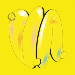 CLOUD MANAGEMENT - V.A. - LP