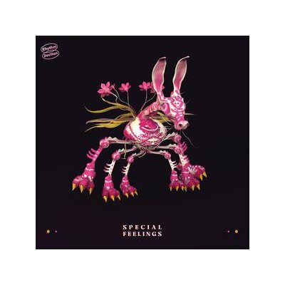 SPECIAL FEELINGS - SPECIAL FEELINGS - LP