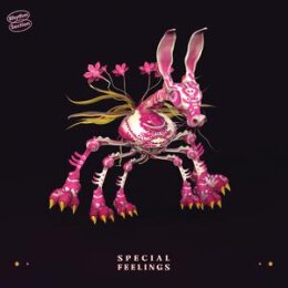 SPECIAL FEELINGS - SPECIAL FEELINGS - LP