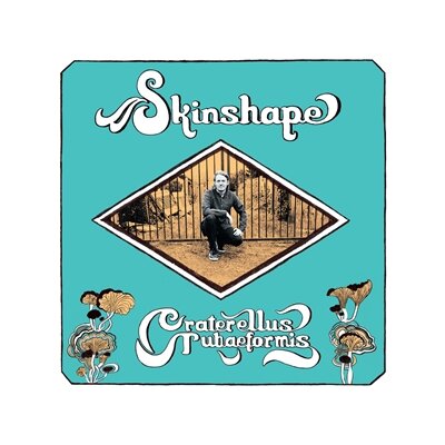 SKINSHAPE - CRATERELLUS TUBAEFORMIS - LP
