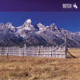 BOTCH - AN ANTHOLOGY OF DEAD ENDS (RE-ISSUE) - LP