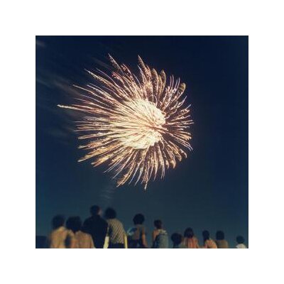 HOCHZEITSKAPELLE/JAPANESE FRIENDS - THE ORCHESTRA IN THE SKY (TOKYO & KOBE RECORDINGS) - CD