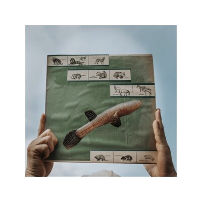 COTTON JONES - THE RIVER STRUMMING - LP