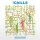 CHILLS, THE - BRAVE WORDS SPOKEN BRAVELY:THE REMIX - LP