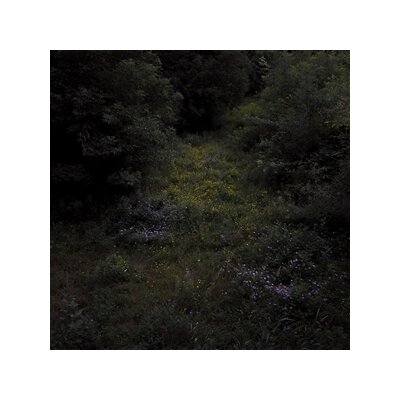 FIREWORKS - HIGHER LONELY POWER (CLOUDY BLACK VINYL) - LP