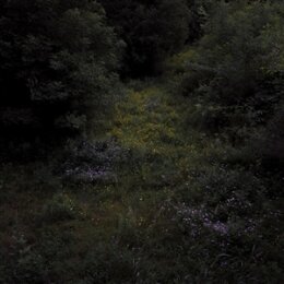 FIREWORKS - HIGHER LONELY POWER (CLOUDY BLACK VINYL) - LP