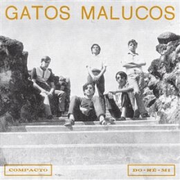 GATOS MALUCOS - SEM VER O LUAR - 7"
