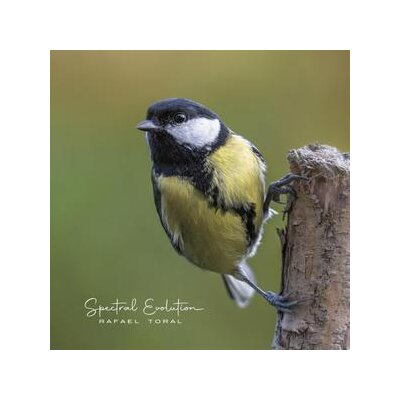 TORAL, RAFAEL - SPECTRAL EVOLUTION - LP