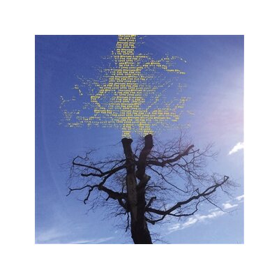 SADIER, LAETITIA - ROOTING FOR LOVE - LP