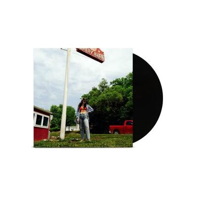 WAXAHATCHEE - TIGERS BLOOD - LP