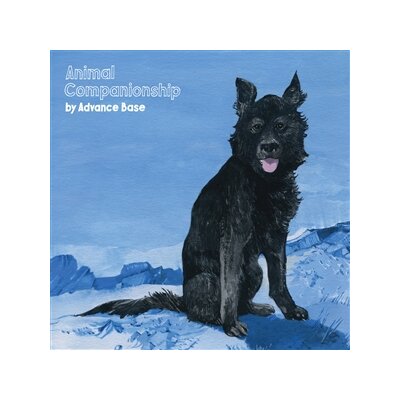 ADVANCE BASE - ANIMAL COMPANIONSHIP (CLEAR VINYL) - LP