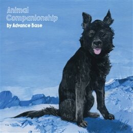 ADVANCE BASE - ANIMAL COMPANIONSHIP (CLEAR VINYL) - LP