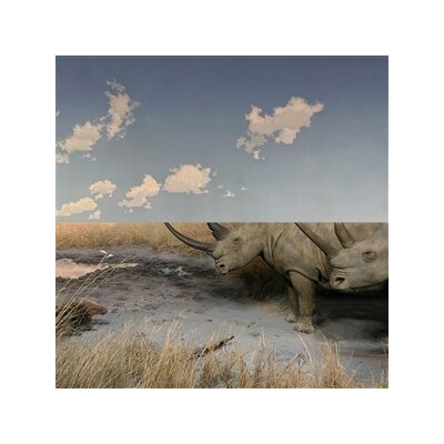 CARPET - COLLISION - CD