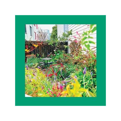 REDS, PINKS AND PURPLES, THE - UNWISHING WELL (WHITE VINYL) - LP