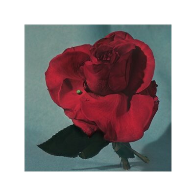 METZ - UP ON GRAVITY HILL - CD