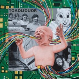 TOADLIQUOR - BACK IN THE HOLE - LP