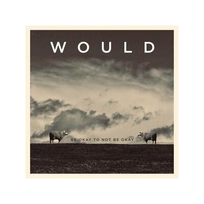 WOULD - BE OKAY TO NOT BE OKAY - LP