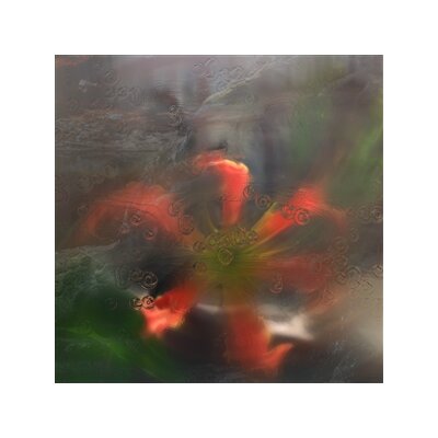 UPSAMMY - GERM IN A POPULATION OF BUILDINGS - LP