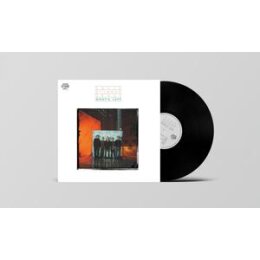 DAVID MIILMANN GROUP - WHATS LEFT - LP