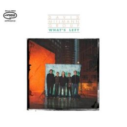 DAVID MIILMANN GROUP - WHATS LEFT - CD