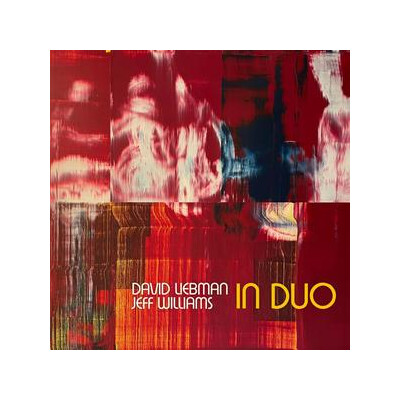 LIEBMAN, DAVE/JEFF WILLIAMS - IN DUO - CD
