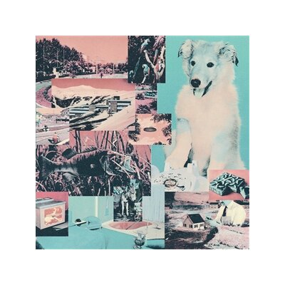 VILLAGES - EXCESSIVE DEMAND - LP