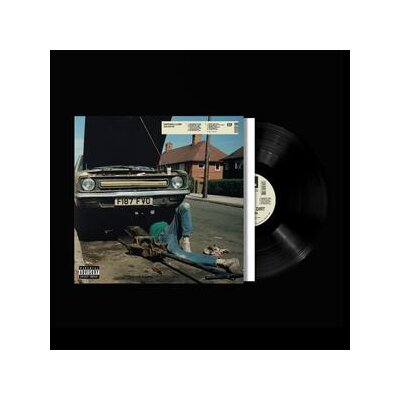 MORTON, SAM - DAFFODILS & DIRT - LP