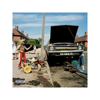 MORTON, SAM - DAFFODILS & DIRT - CD