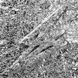 SAY SHE SHE - SILVER (TRANSPARENT PINK VINYL) - LP