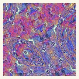 CARLOS NIÑO & FRIENDS - PLACENTA - CD