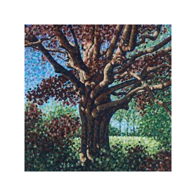 ONE STEP CLOSER - SONGS FOR THE WILLOW - 12"