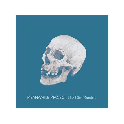 MEANWHILE PROJECT LTD - SIR MANDRILL - LP