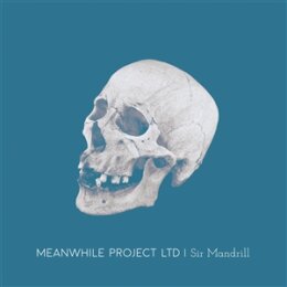 MEANWHILE PROJECT LTD - SIR MANDRILL - CD