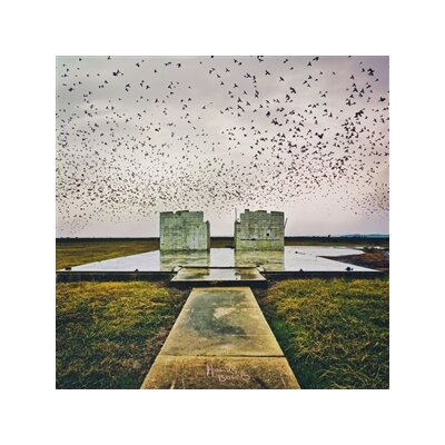 LORD BUFFALO - HOLUS BOLUS (ICE & AQUA BLUE GALAXY MARBLE VINYL) - LP