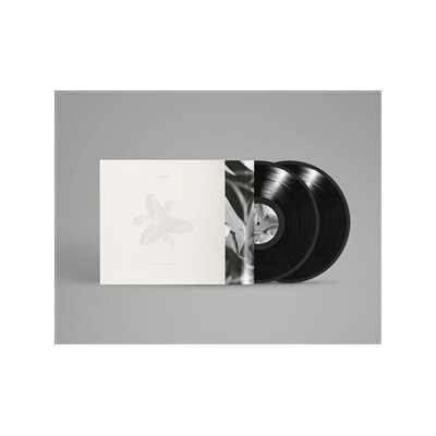 DEAD TONGUES, THE - BODY OF LIGHT / I AM A CLOUD - LP