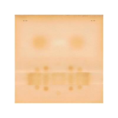 DR. DOG - DR. DOG - CD