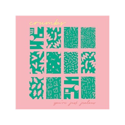 CRUMBS - YOURE JUST JEALOUS - LP