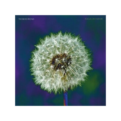 BEVIS FROND, THE - FOCUS ON NATURE (CLASSIC BACK VINYL) - LP