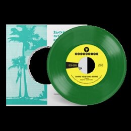 COLEBROOKE, STEPHEN - SHAKE YOUR CHIC BEHIND (GREEN...